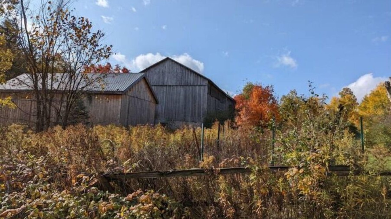 Photo of Outdoor in Puslinch