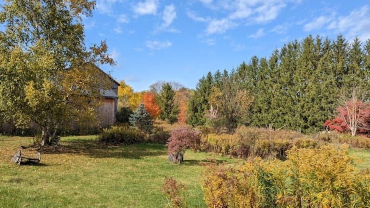Photo of Outdoor in Puslinch