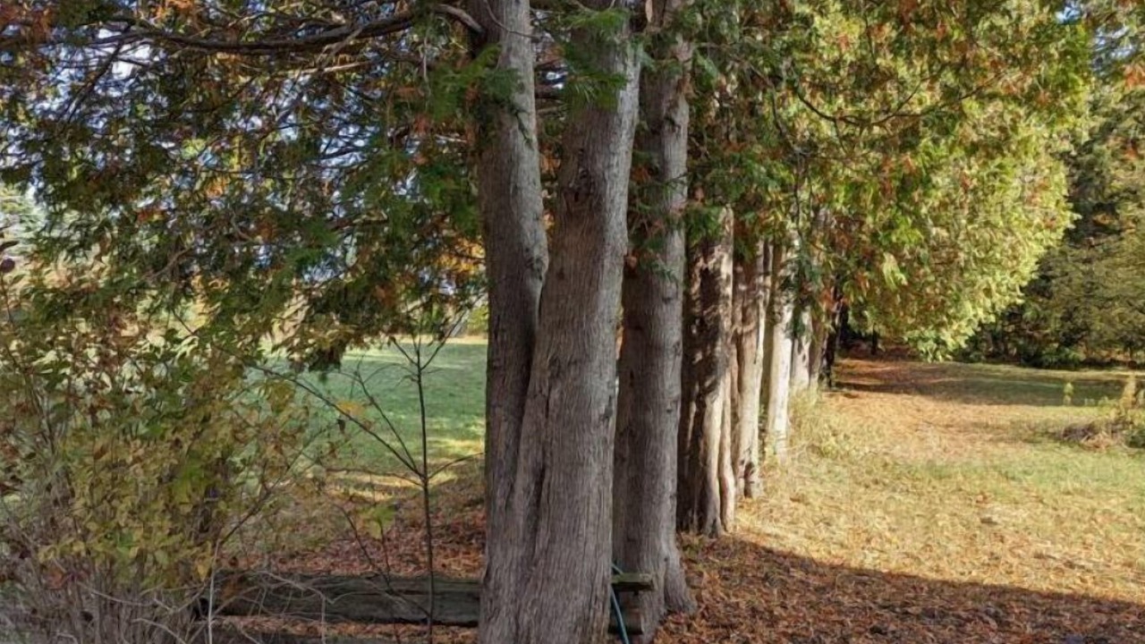 Photo of Outdoor in Puslinch