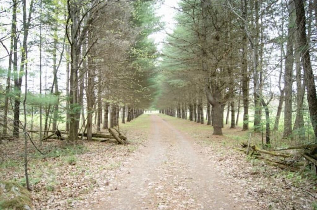 Photo of Outdoor in Crowes Landing