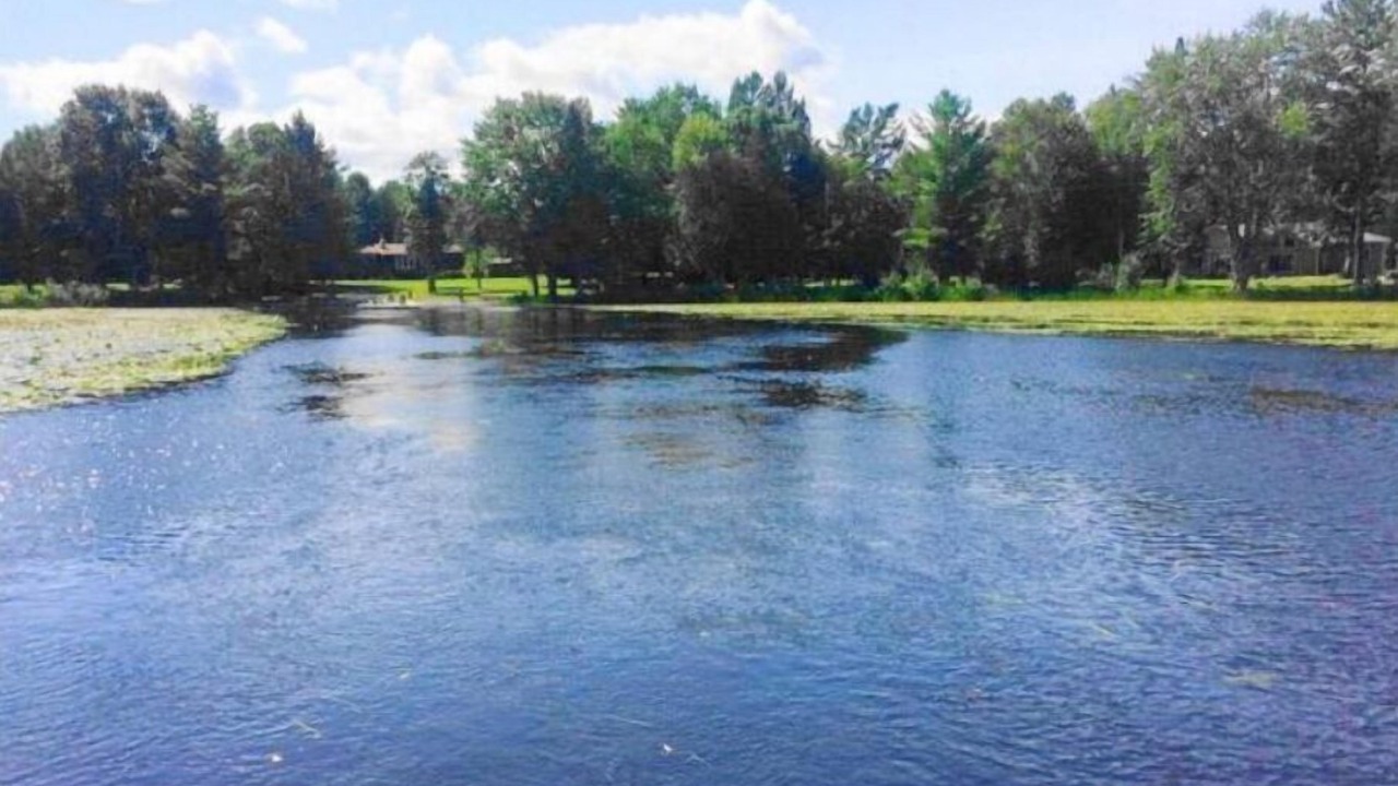 Photo of Outdoor in Crowes Landing