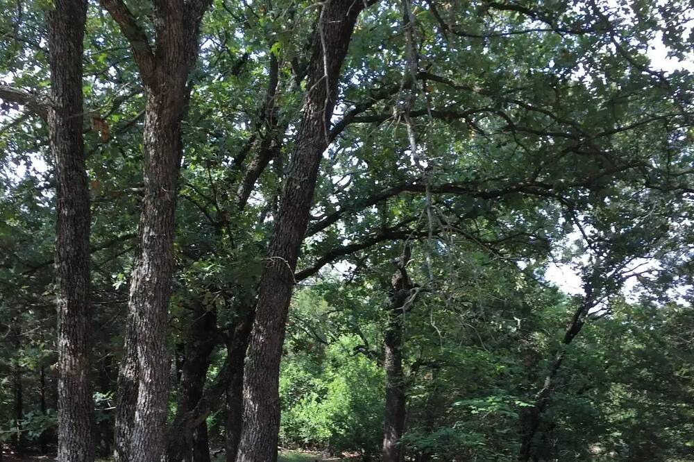 Photo of Outdoor in Edmond