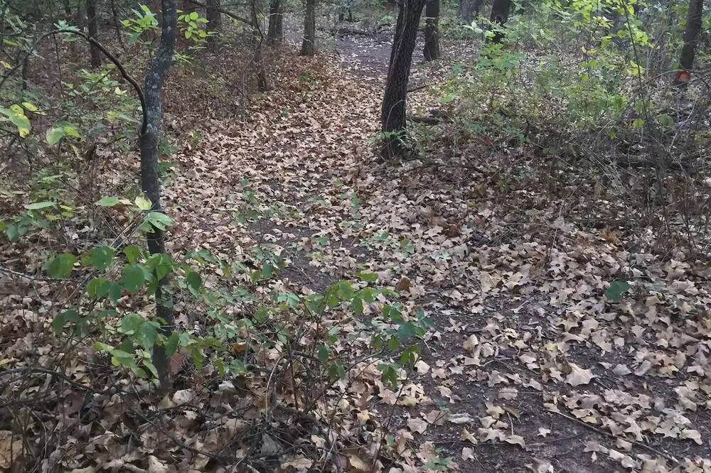 Photo of Outdoor in Edmond