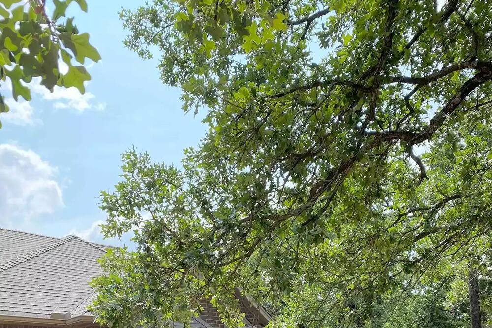 Photo of Outdoor in Edmond