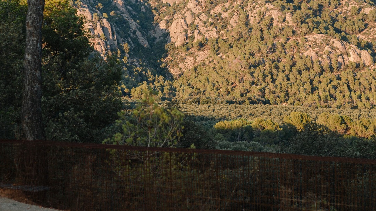 Photo of Outdoor in El Bruc