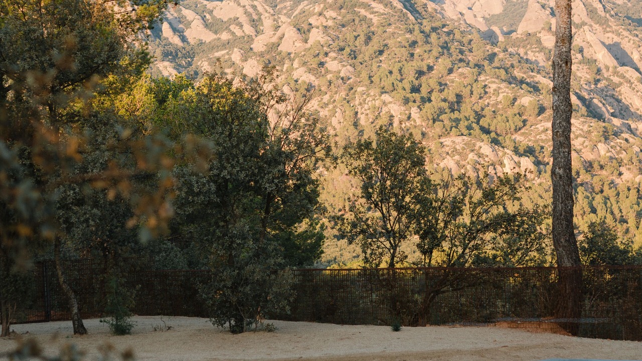 Photo of Outdoor in El Bruc