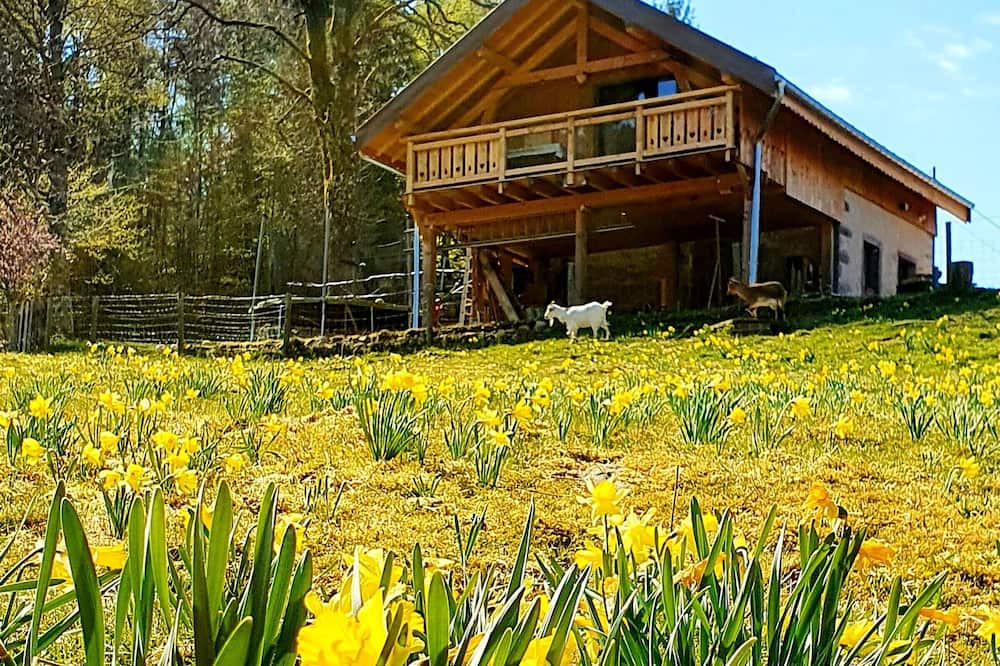 Photo of Outdoor in Le Tholy