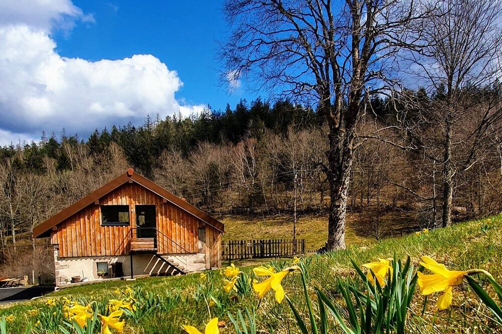 Photo of Outdoor in Le Tholy