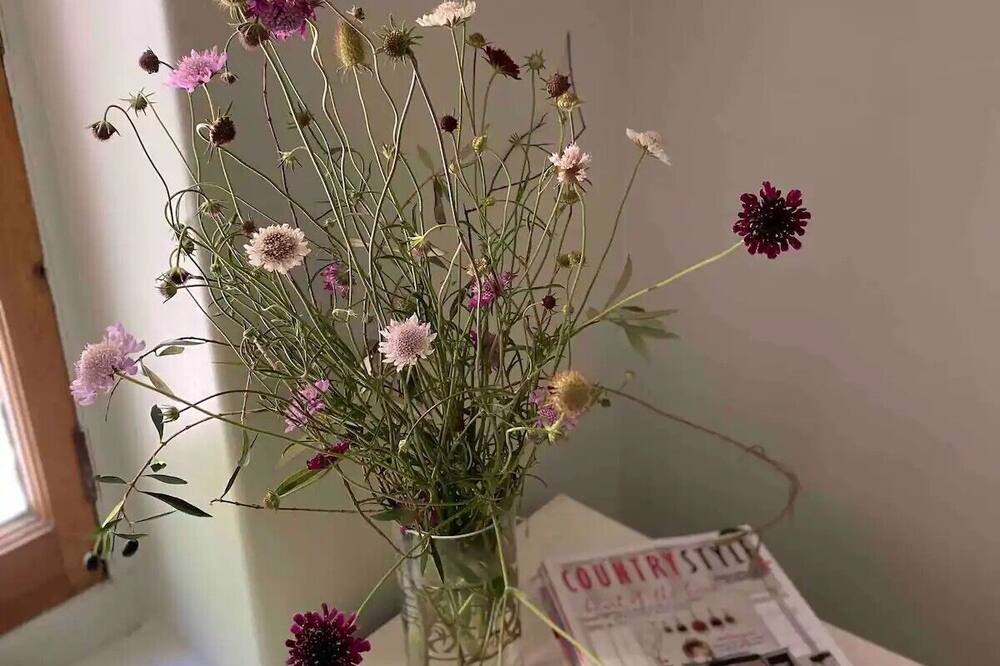 Photo of Others in Upper Wakefield