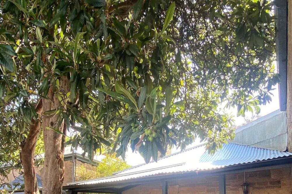 Photo of Outdoor in Upper Wakefield