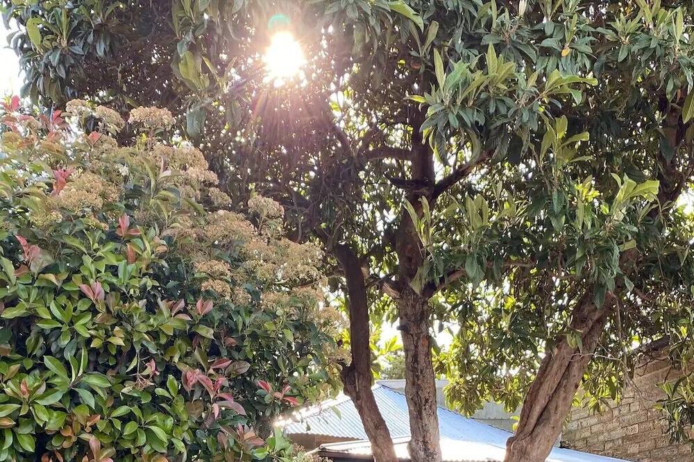 Photo of Others in Upper Wakefield