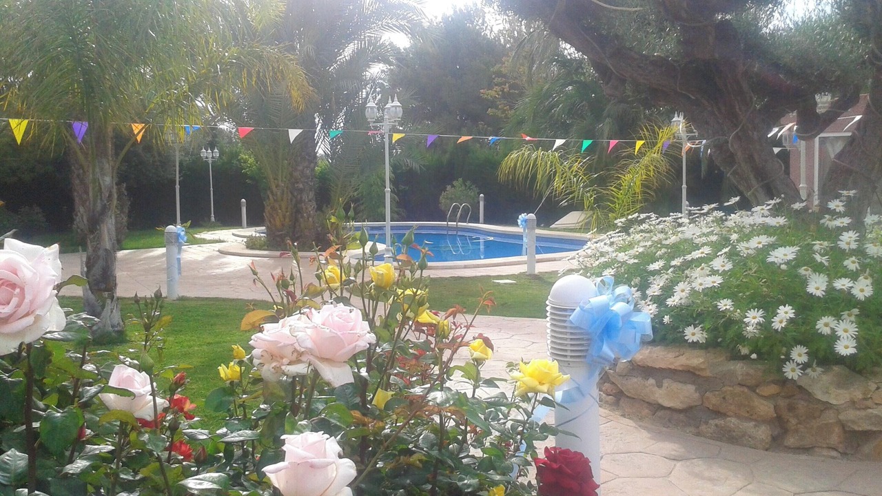Photo of Outdoor in Los Arenales del Sol