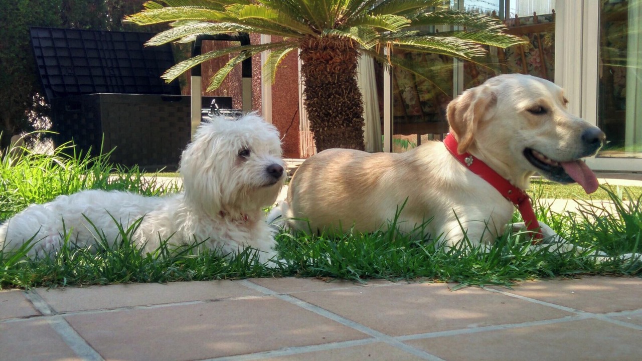 Photo of Outdoor in Los Arenales del Sol