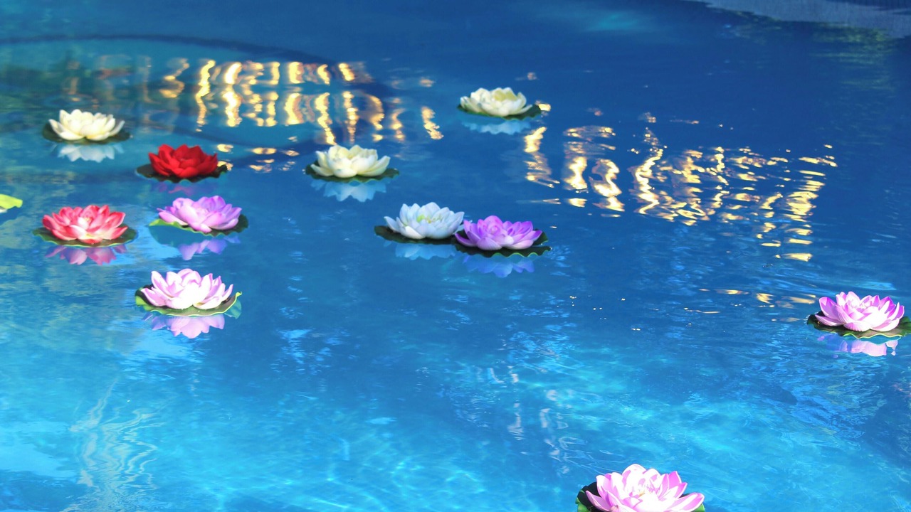 Photo of Outdoor in Los Arenales del Sol