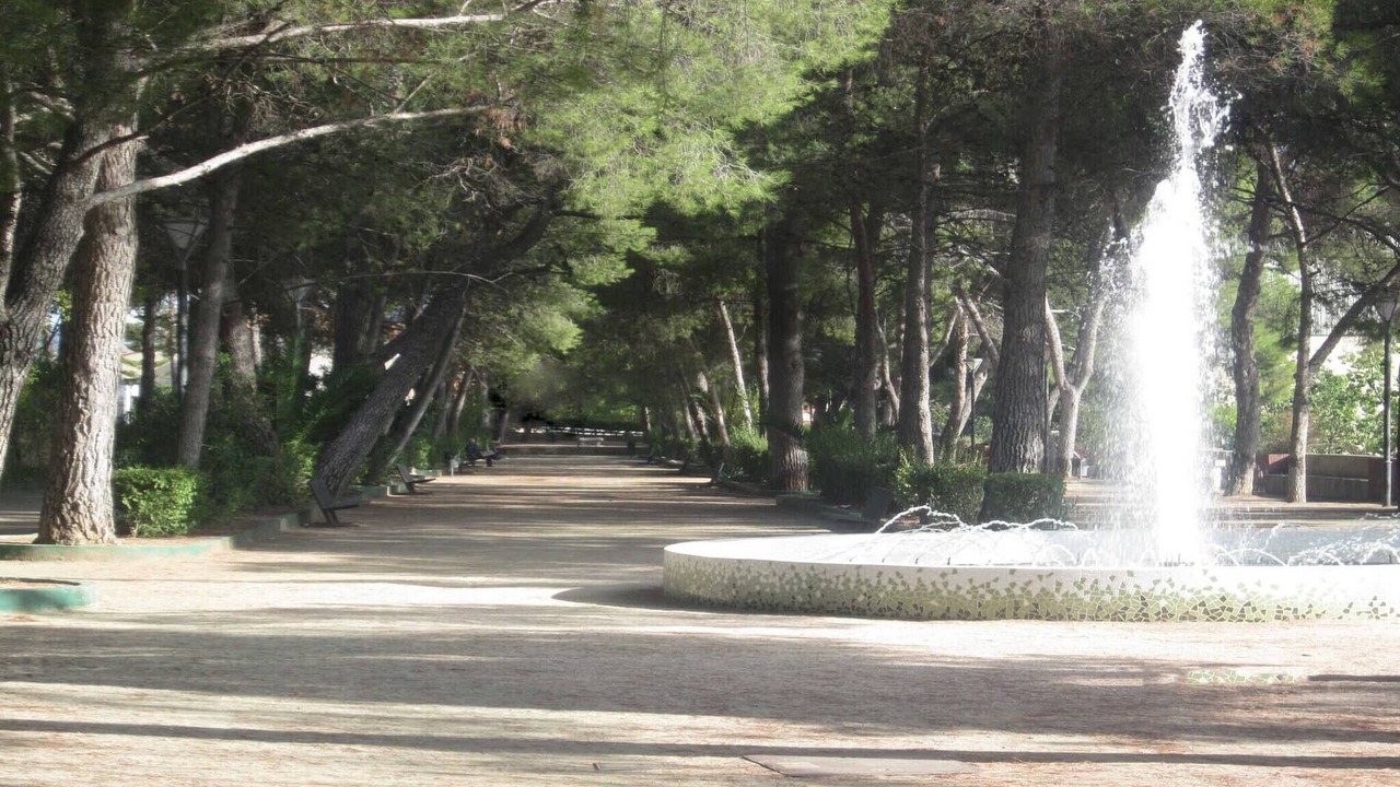 Photo of Outdoor in Altura