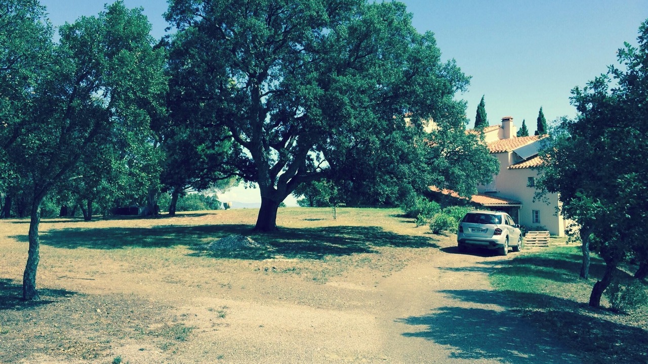 Photo of Others in Montauriol