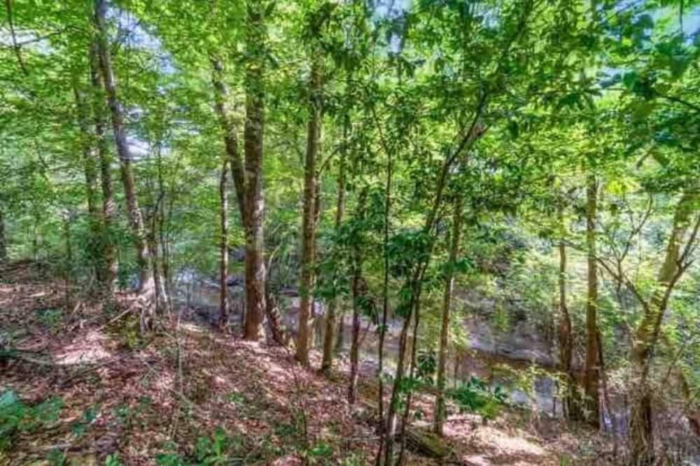 Photo of Outdoor in Columbia