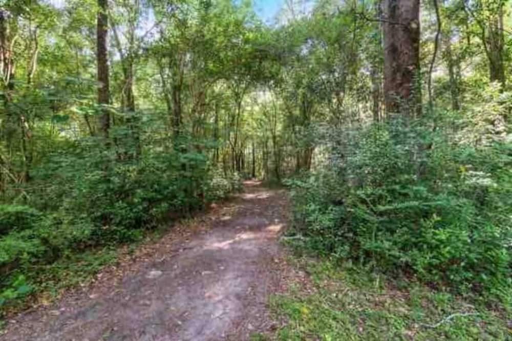 Photo of Outdoor in Columbia
