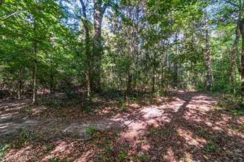 Photo of Outdoor in Columbia