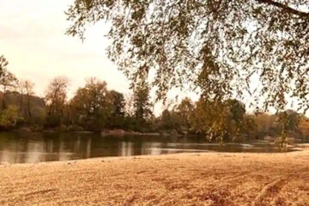 Photo of Others in Doniphan