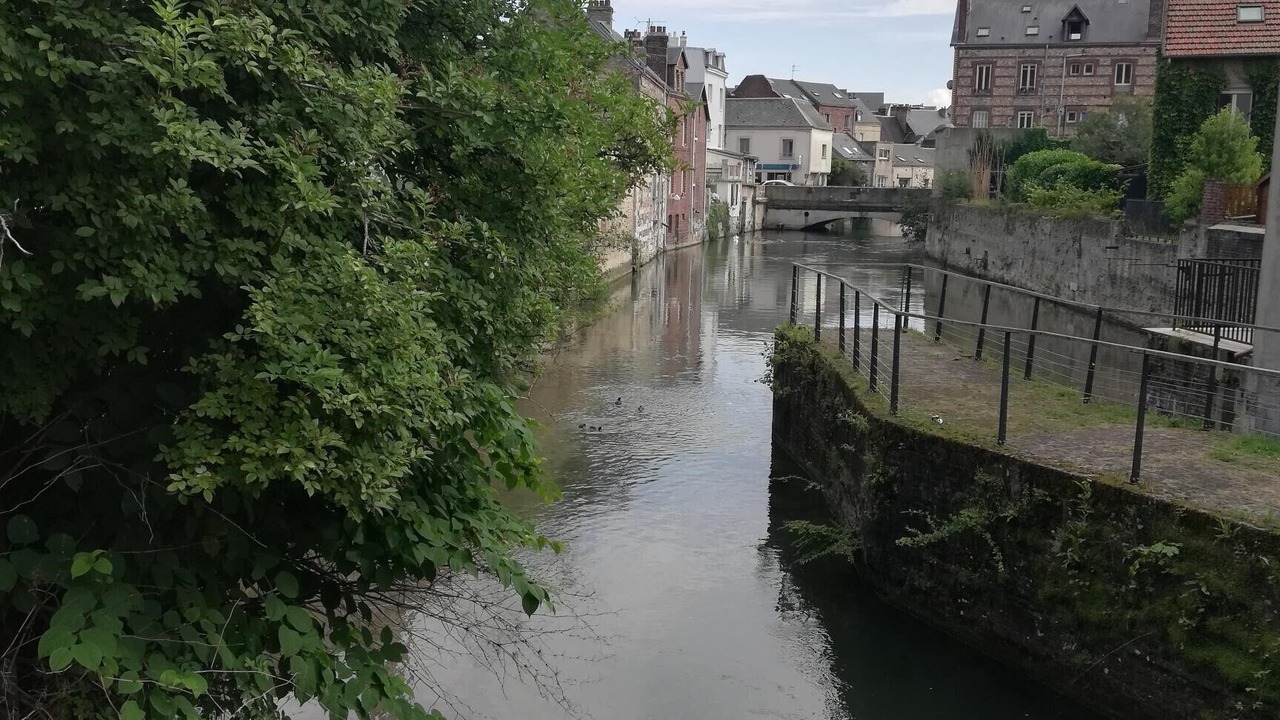 Photo of Others in Harfleur