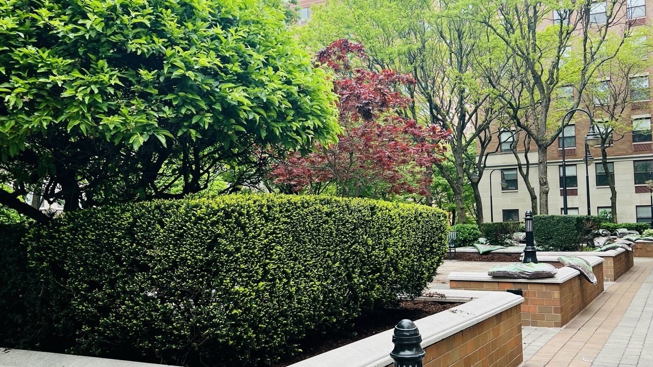 Photo of Outdoor in Hoboken