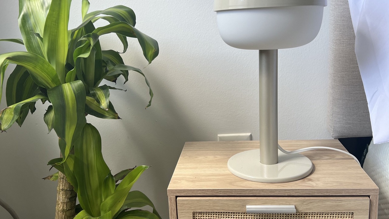 Photo of Others in Hoboken