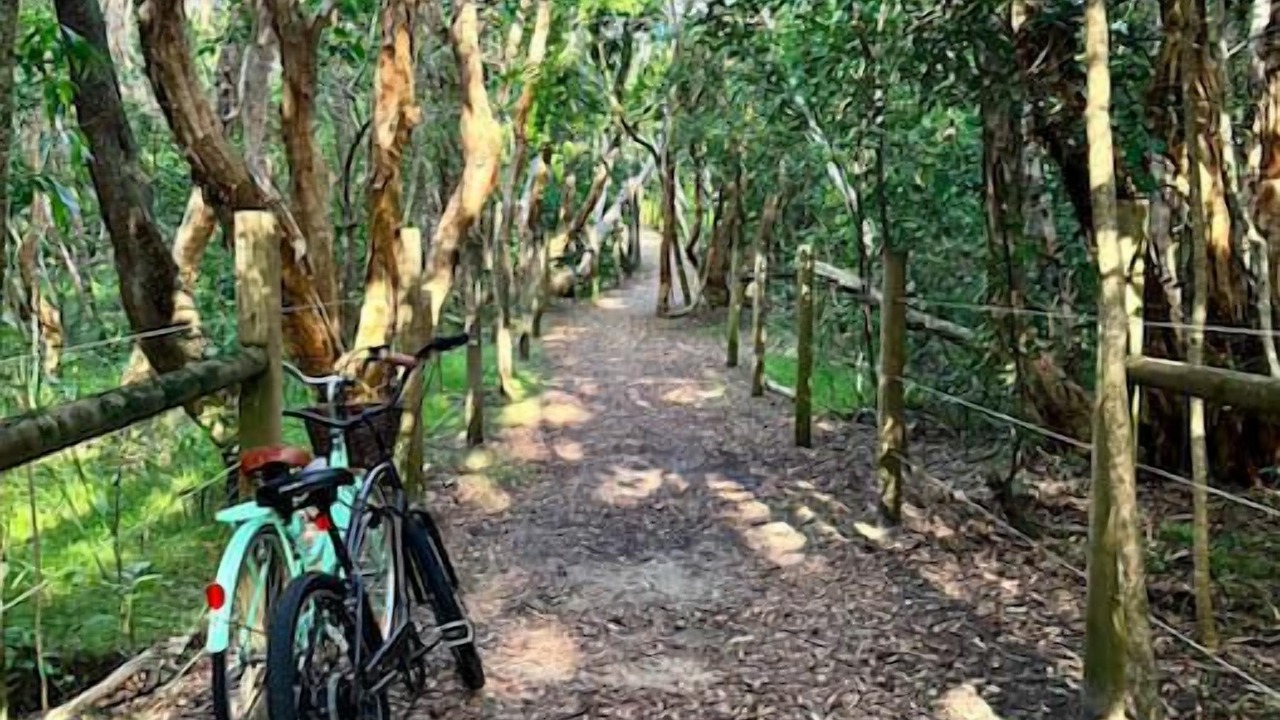 Photo of Outdoor in Yaroomba