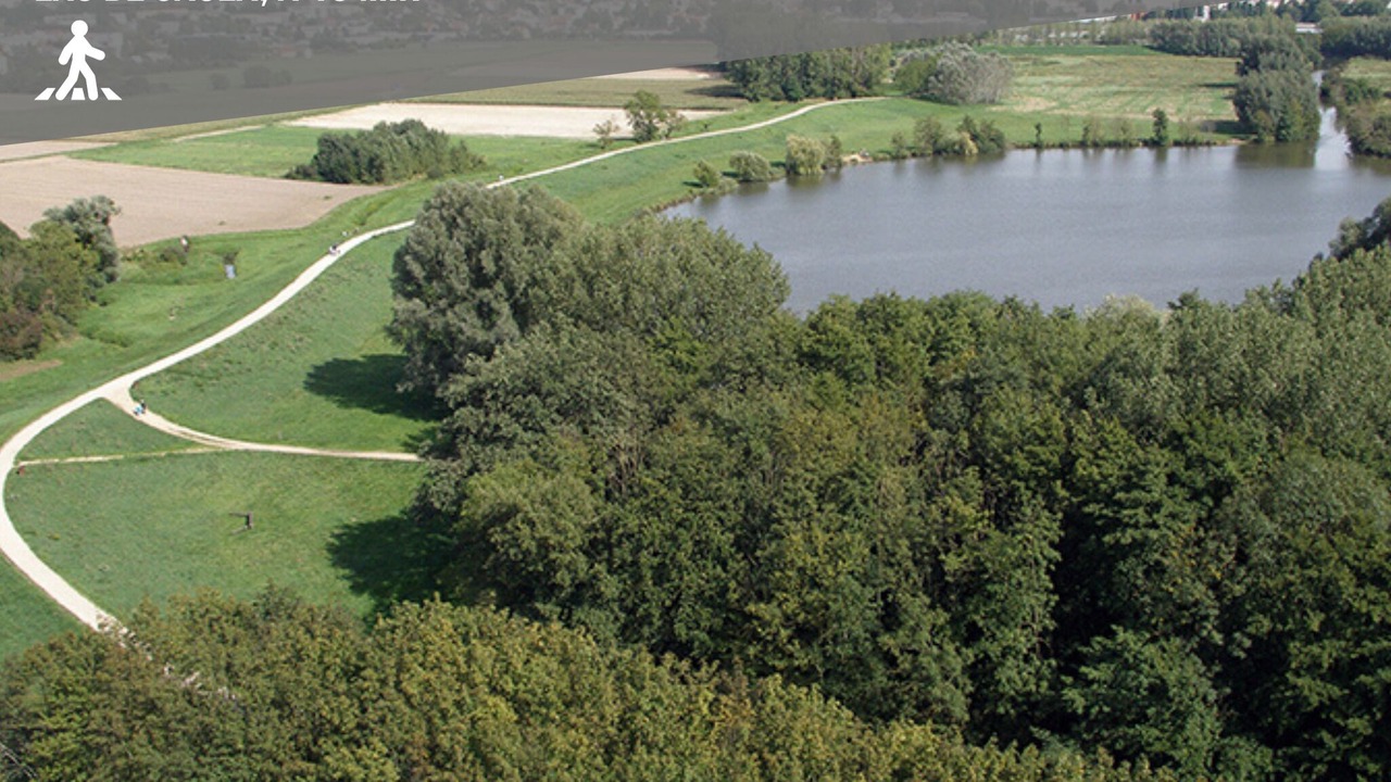 Photo of Others in Saulx-les-Chartreux