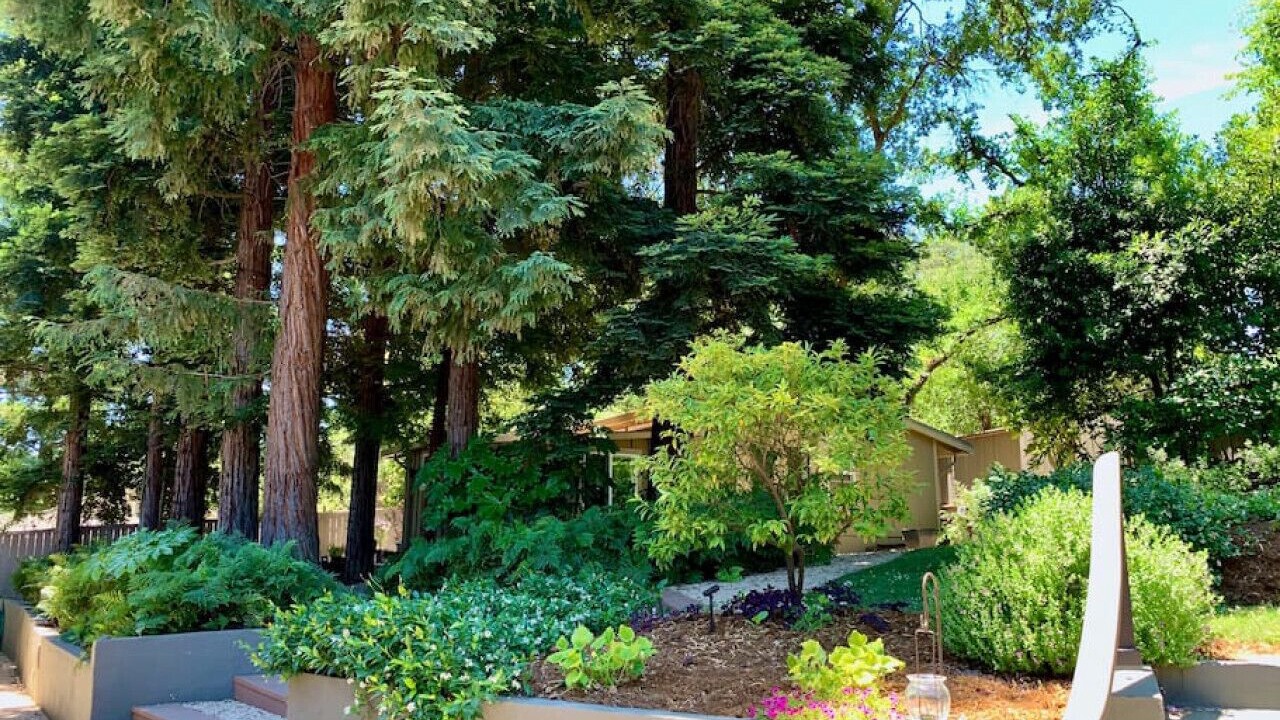 Photo of Outdoor in Carmichael