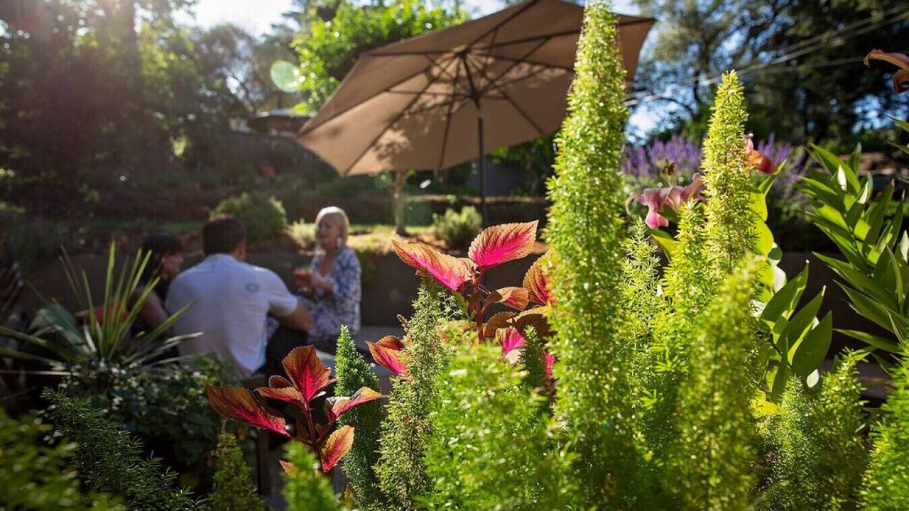Photo of Outdoor in Carmichael