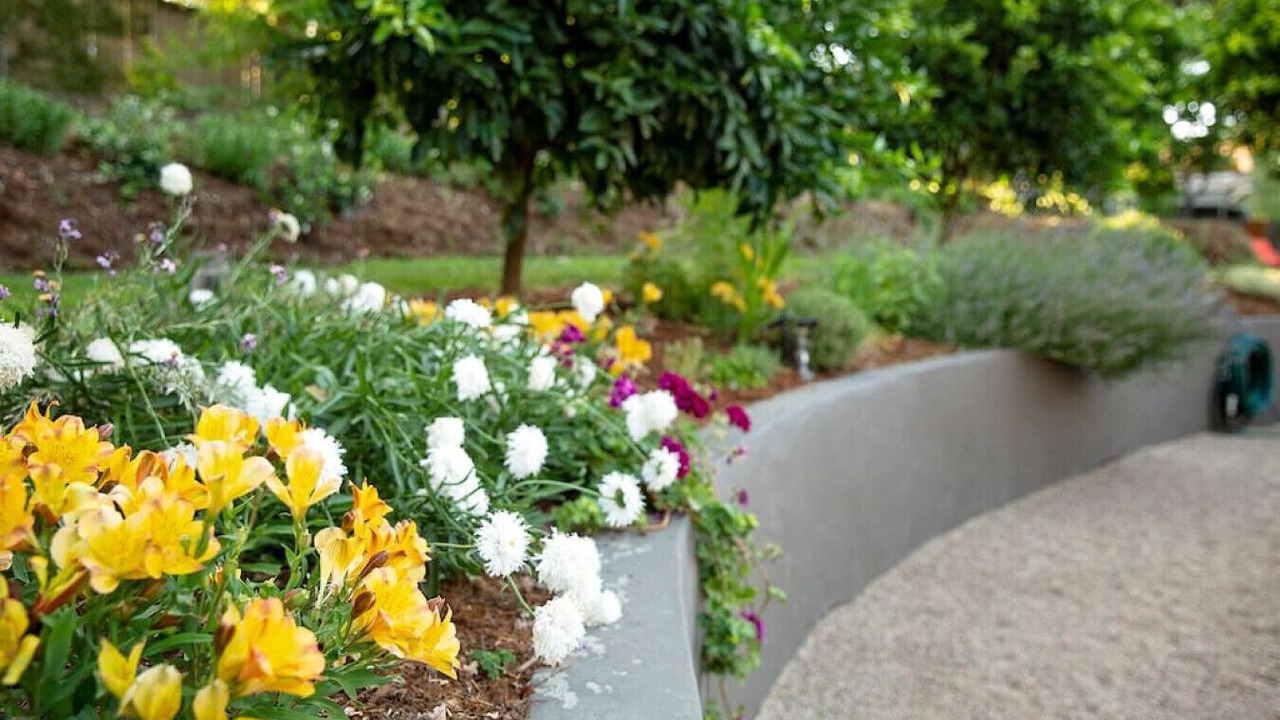 Photo of Outdoor in Carmichael