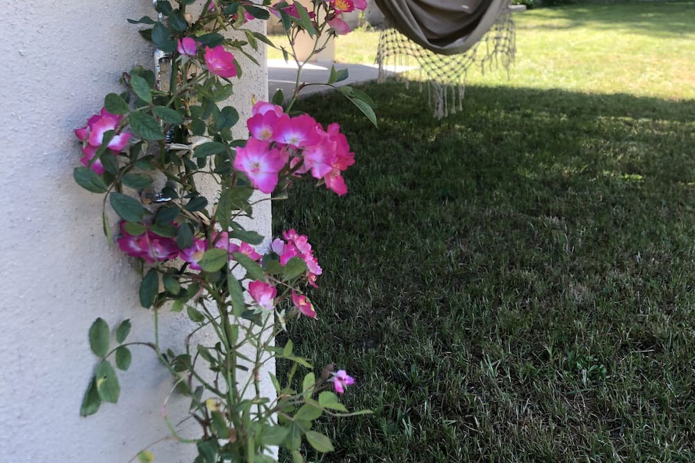 Photo of Outdoor in Mayres