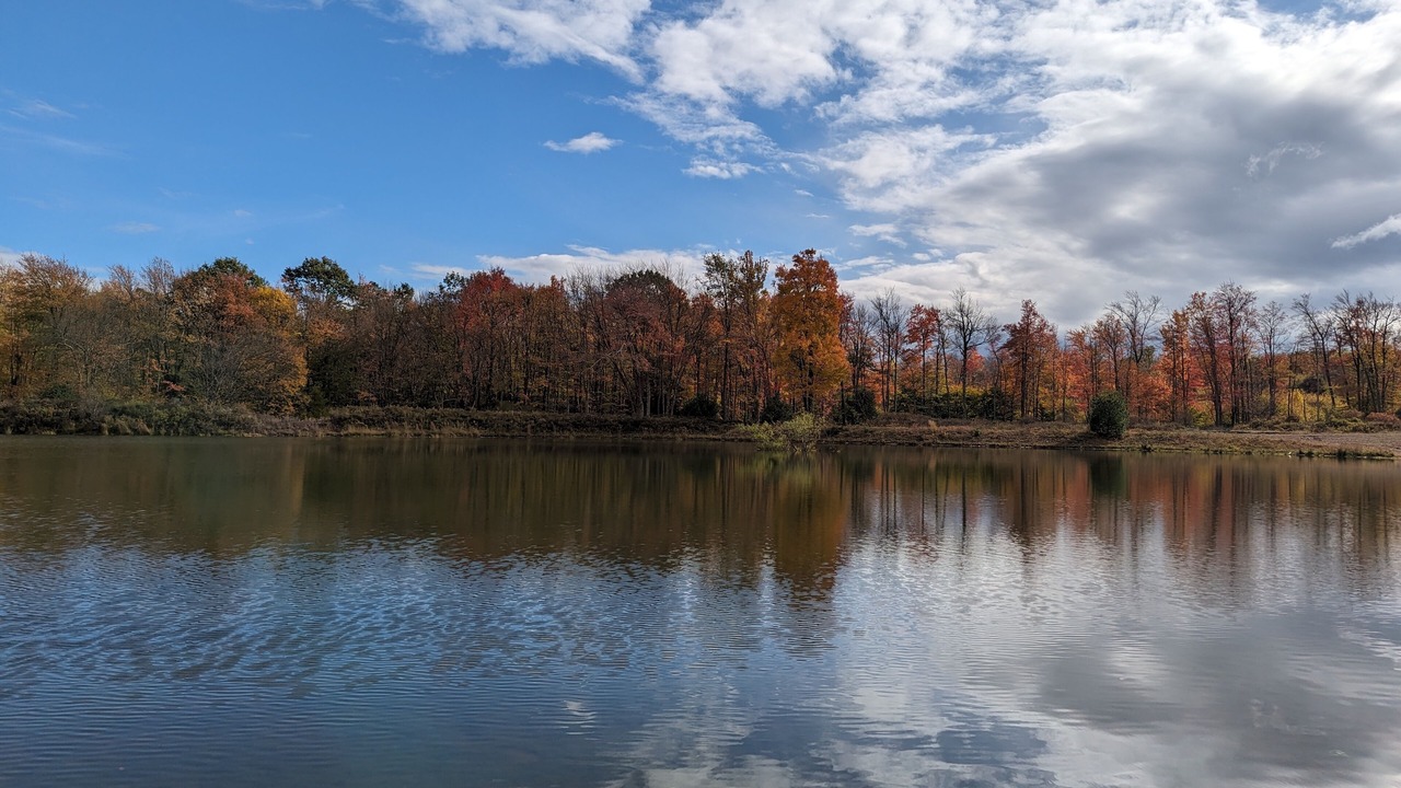 Photo of Others in Lake Harmony