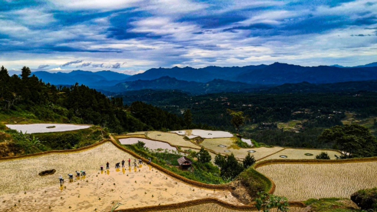 Photo of Outdoor in Rantepao