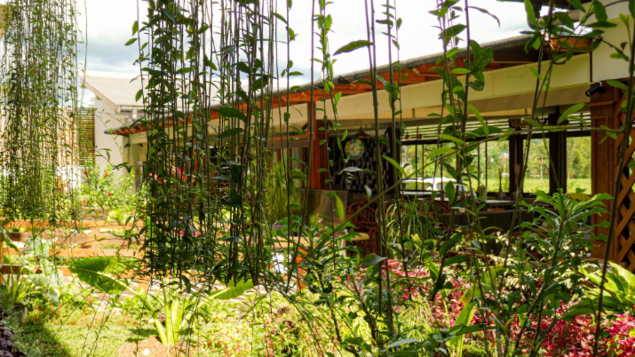 Photo of Others in Rantepao