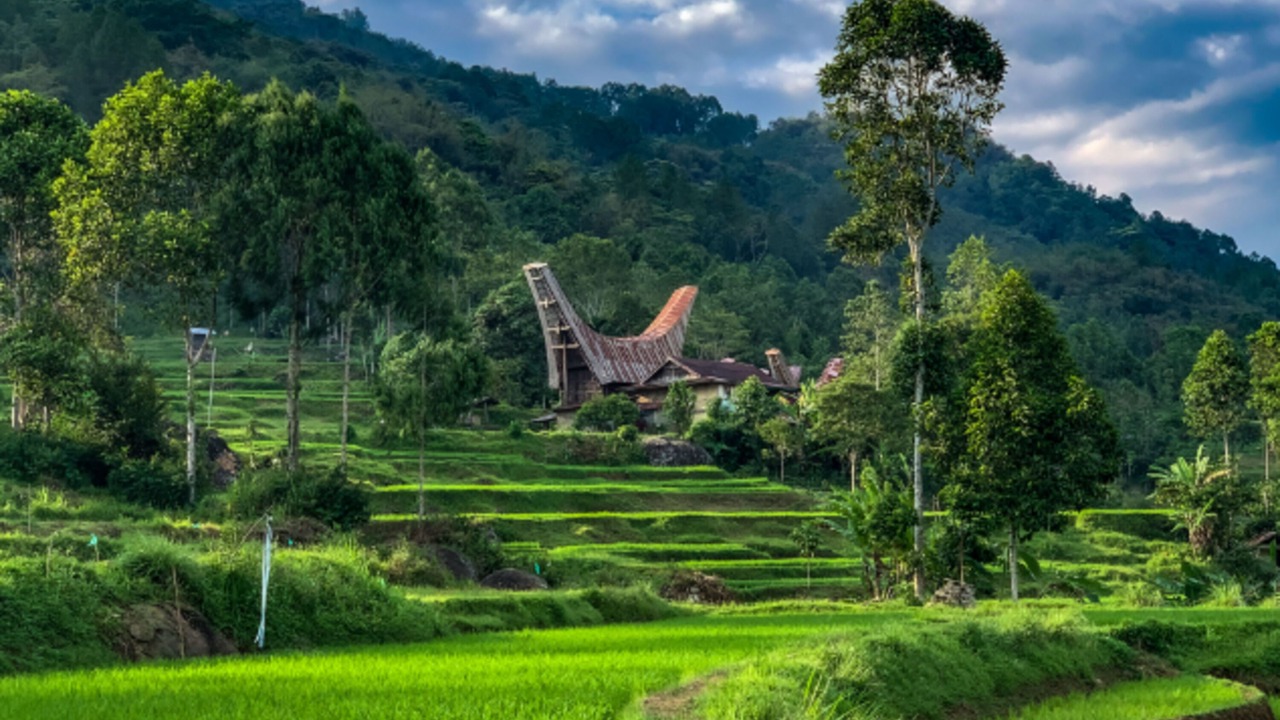 Photo of Outdoor in Rantepao