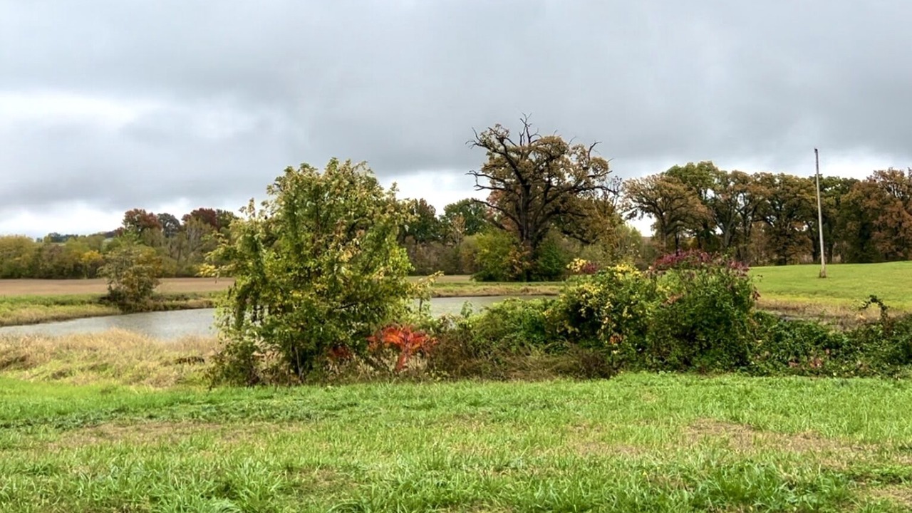 Photo of Outdoor in Chillicothe