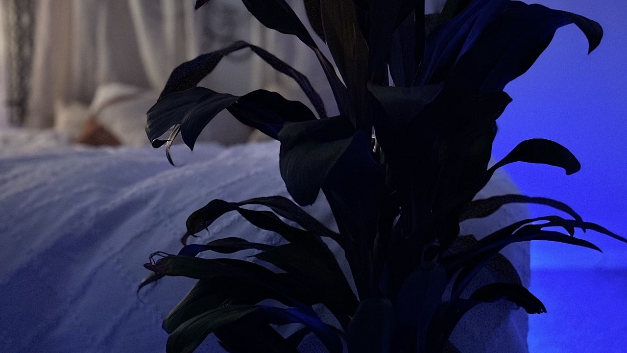 Photo of Others in Chillicothe