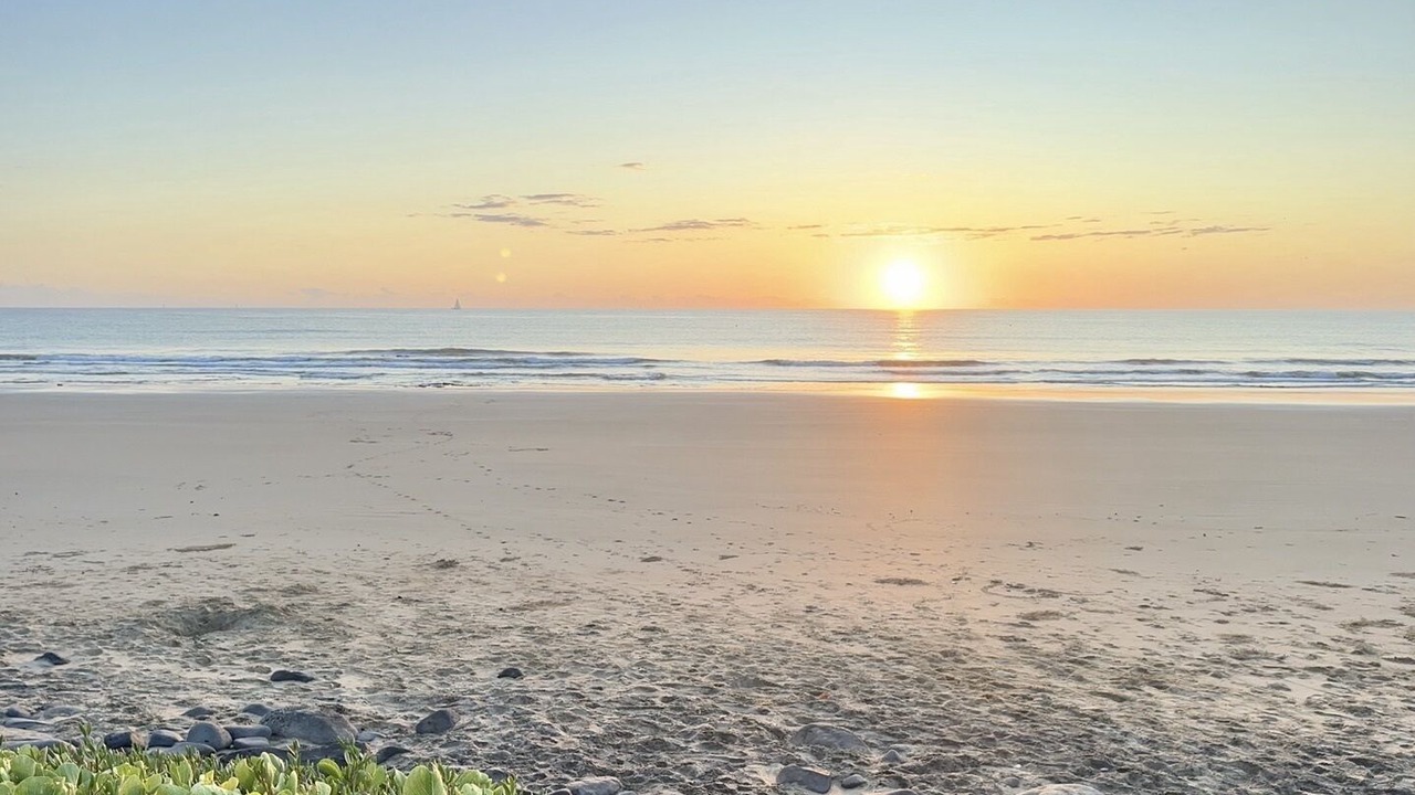 Photo of Others in Burnett Heads