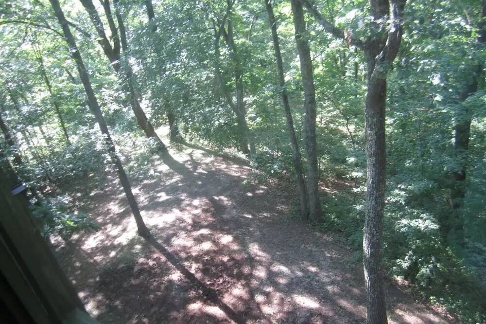 Photo of Others in Millfield