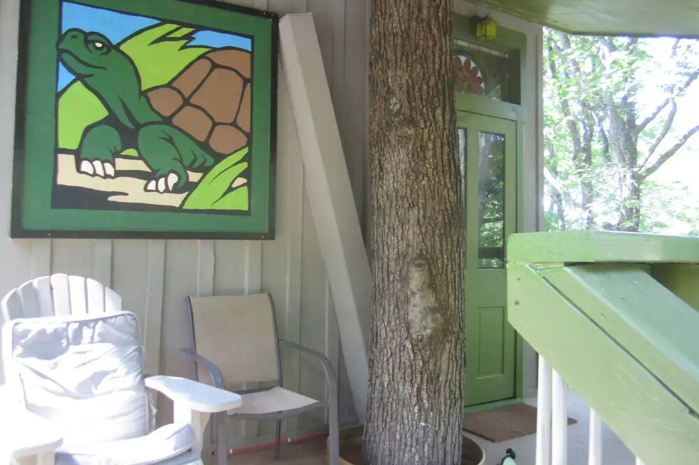 Photo of Others in Millfield