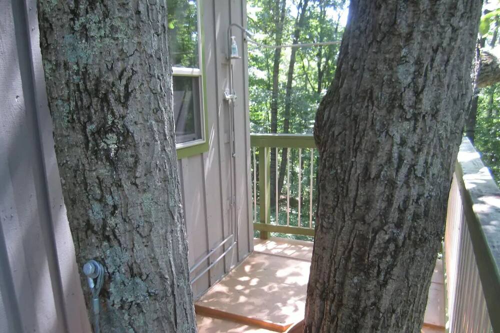 Photo of Outdoor in Millfield