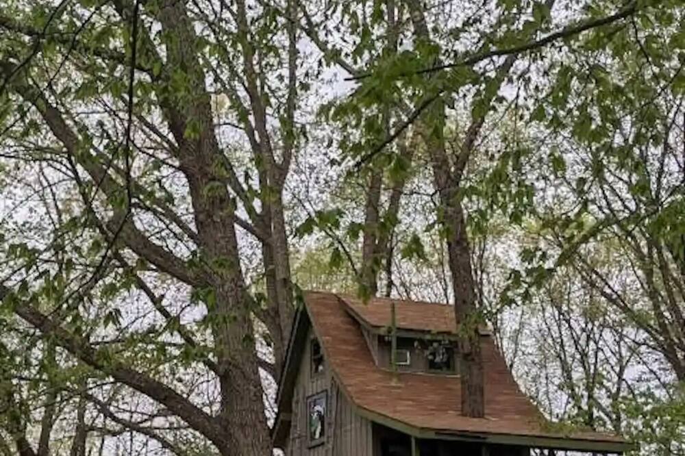 Photo of Others in Millfield