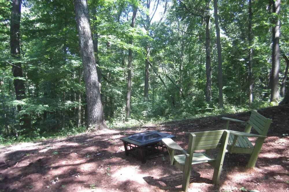 Photo of Others in Millfield