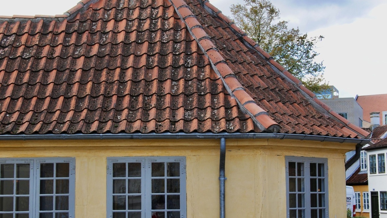 Photo of Outdoor in Odense