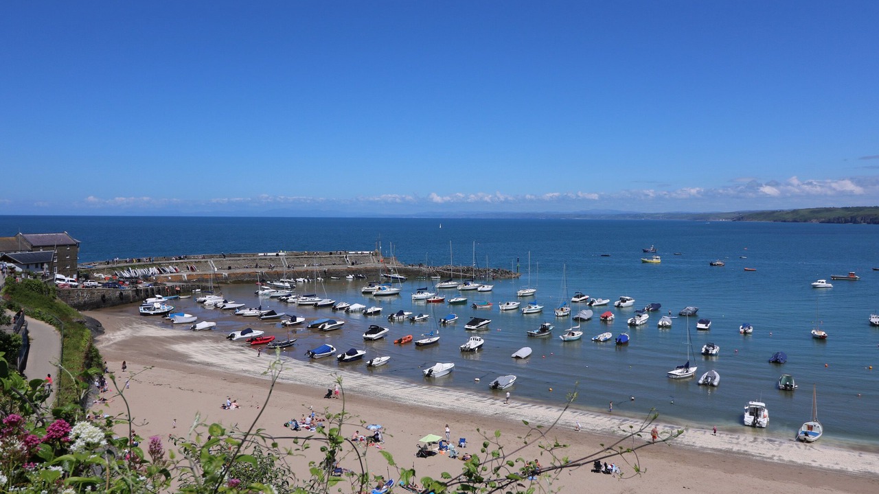 Photo of Others in New Quay