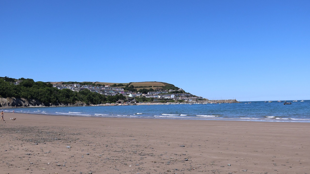 Photo of Others in New Quay