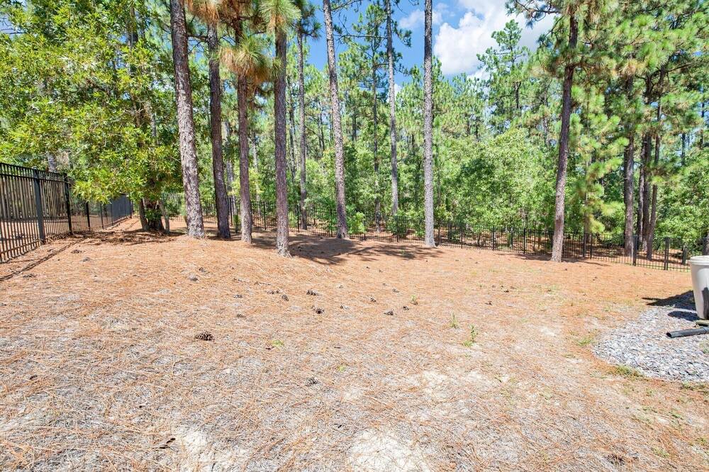 Photo of Outdoor in Southern Pines