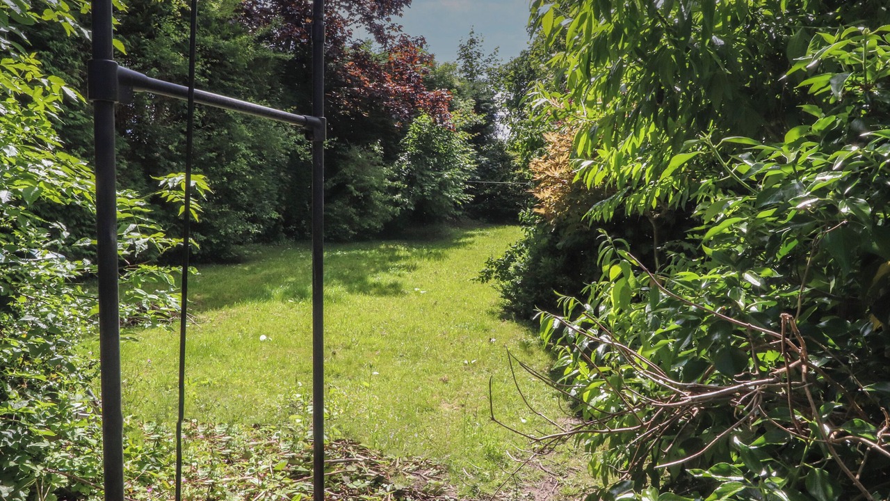 Photo of Others in Trawden